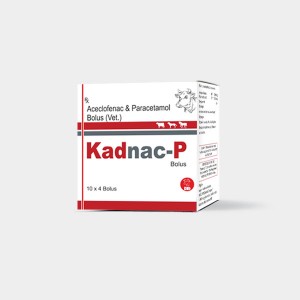 Kadnac - PP